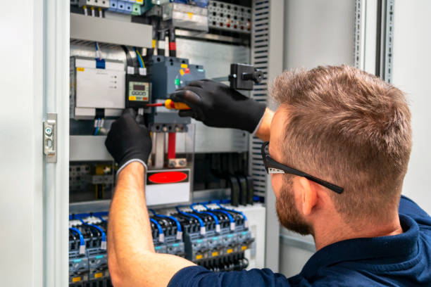 Best Home Electrical Repair  in Brown City, MI