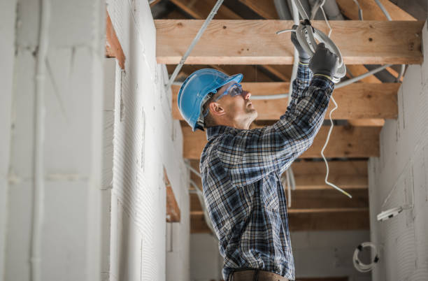 Best Industrial Electrical Services  in Brown City, MI