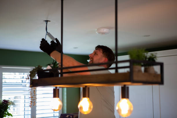 Best Electrician Near Me  in Brown City, MI