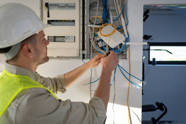Best Electrical Repair Services  in Brown City, MI